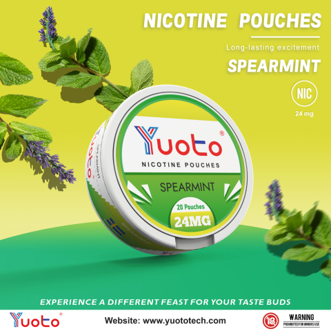 NIKOTIN POUCH-SPEARMINT 24mgx20